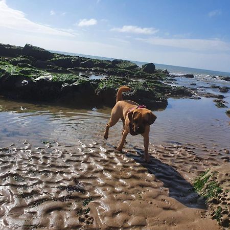 Beautiful Apartment 2 Mins To The Beach St Leonards-on-Sea エクステリア 写真