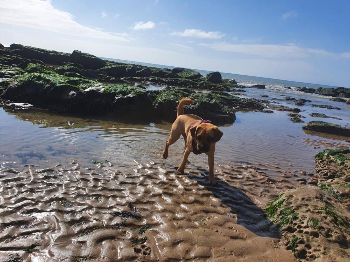 Beautiful Apartment 2 Mins To The Beach St Leonards-on-Sea エクステリア 写真